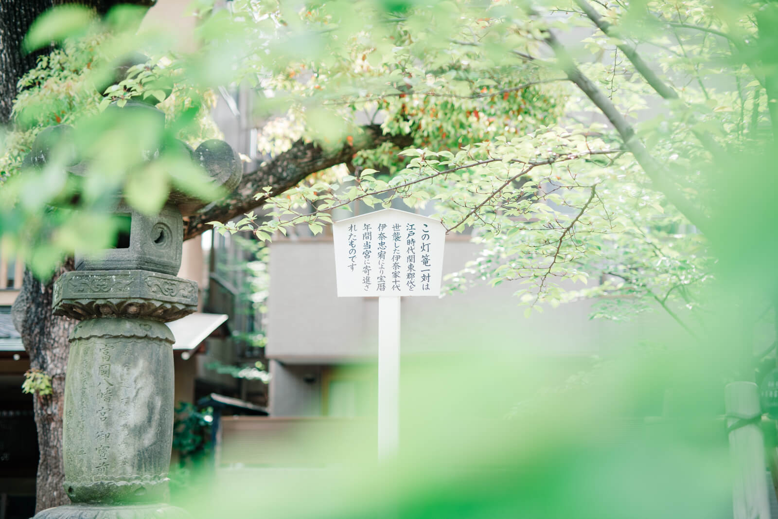 富岡八幡宮の歴史