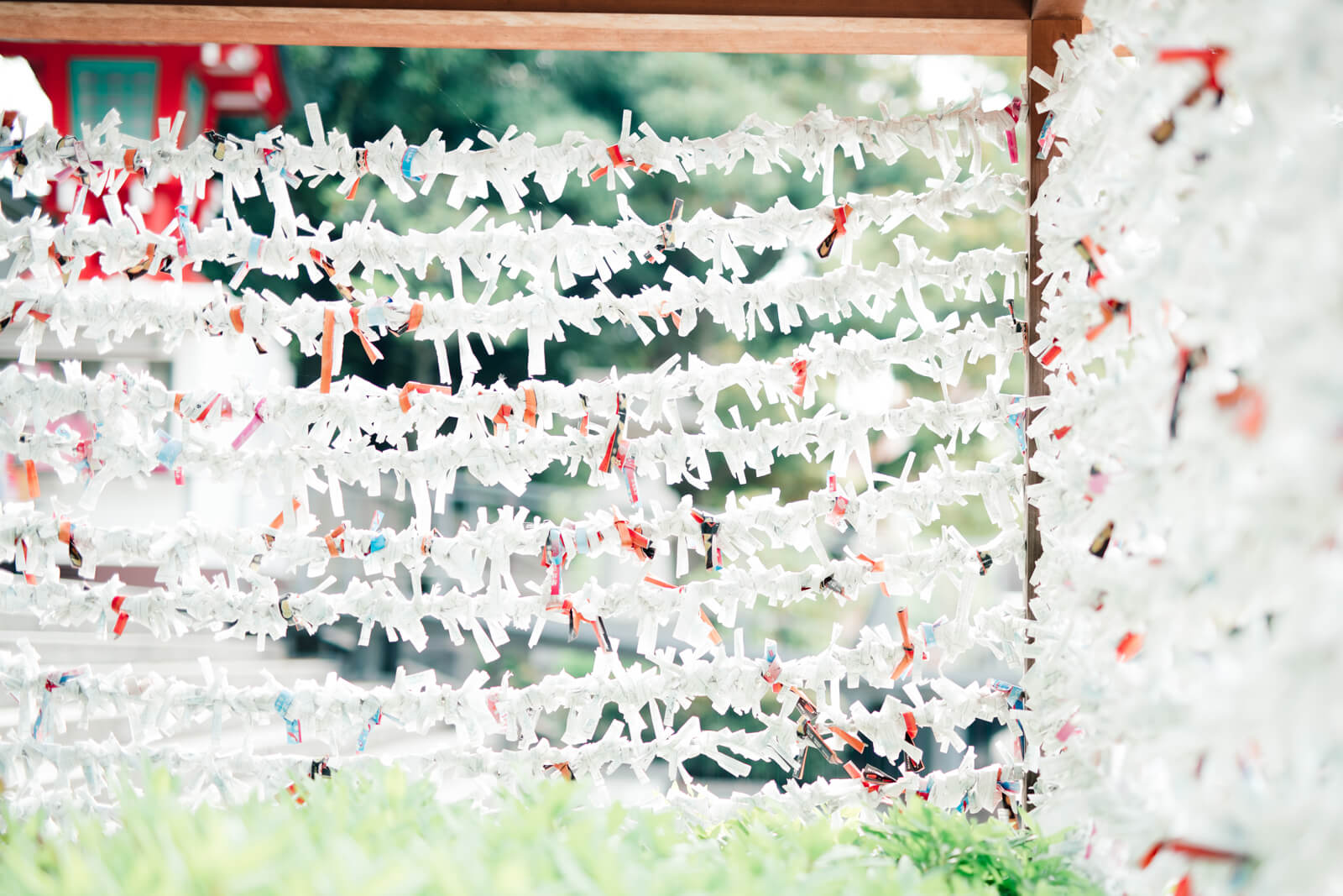富岡八幡宮 おみくじ おみくじ結び所