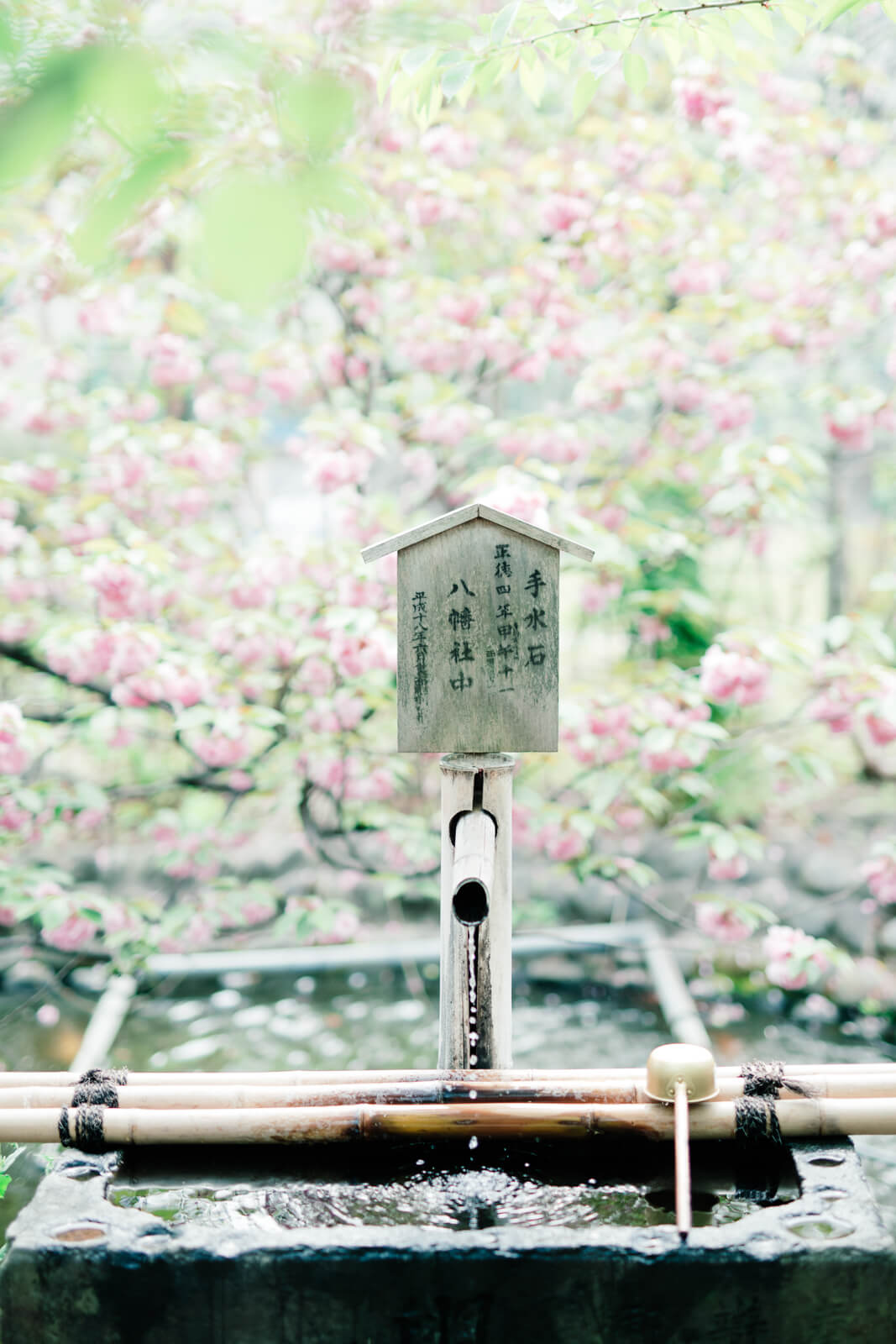 富岡八幡宮 手水舎