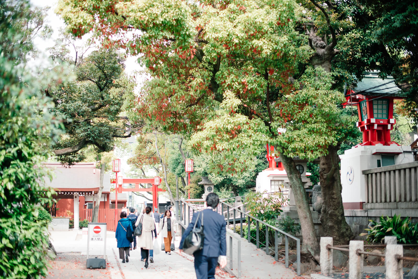 富岡八幡宮の参拝者 朝のルート 朝の光景