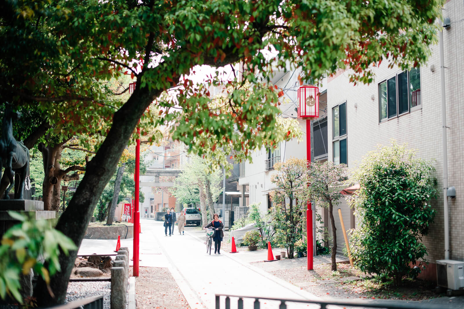 富岡八幡宮の参拝者 朝のルート 朝の光景