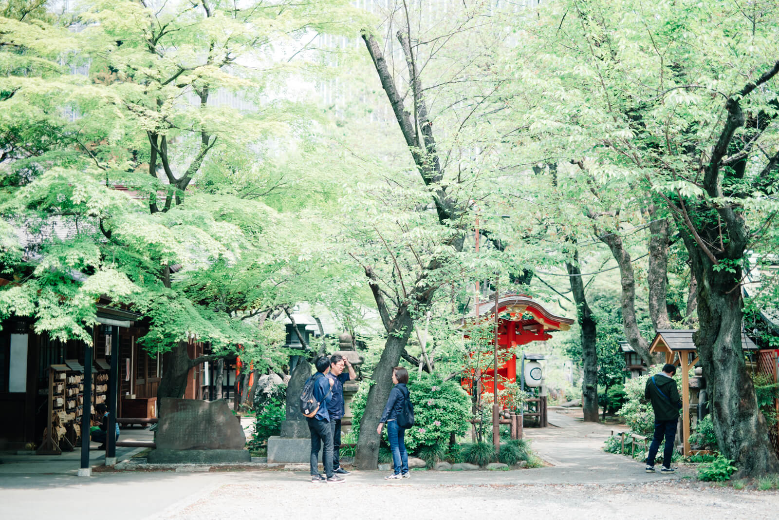 愛宕神社　風景　光景