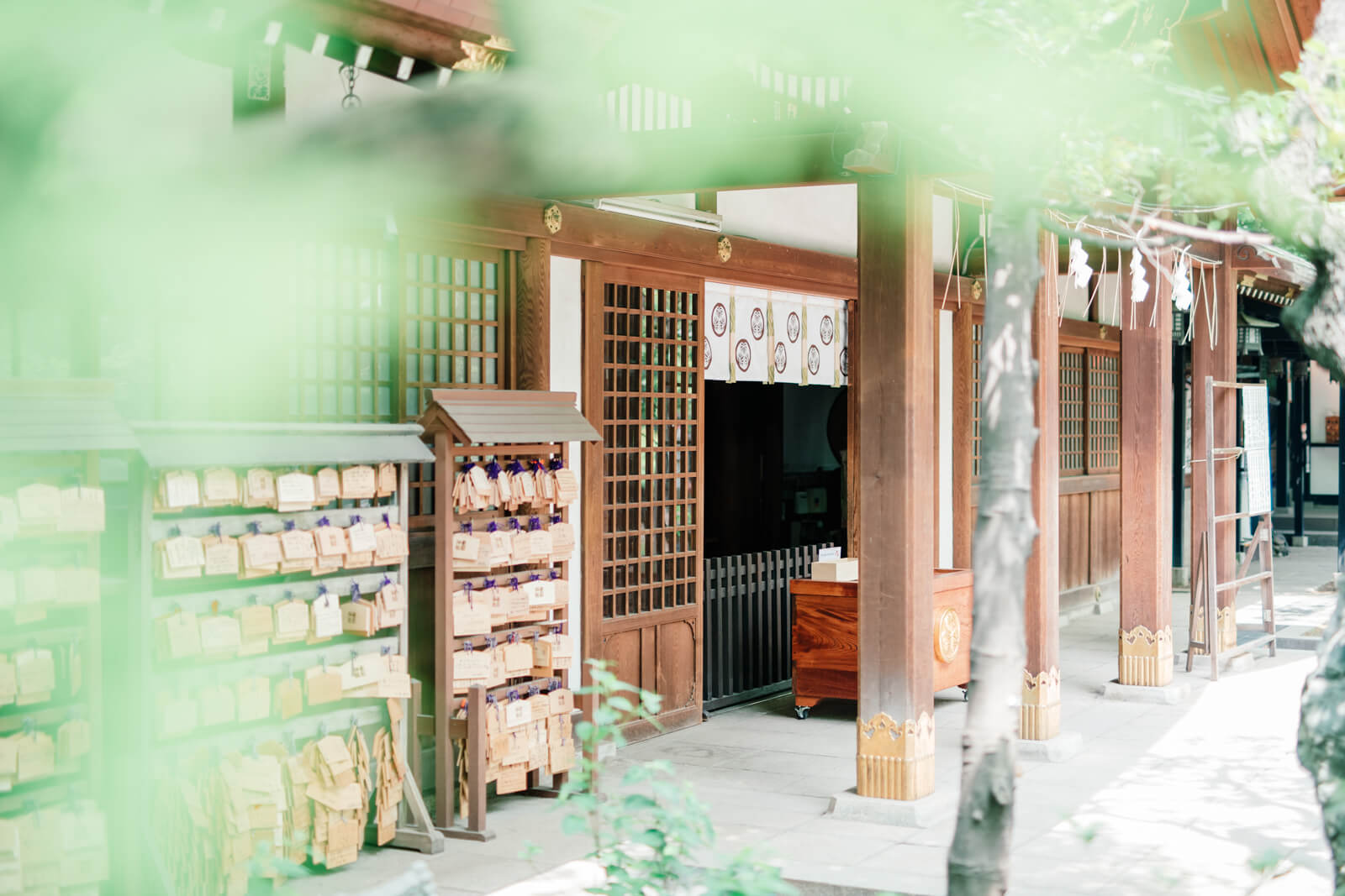 愛宕神社　本殿　お参り　参拝