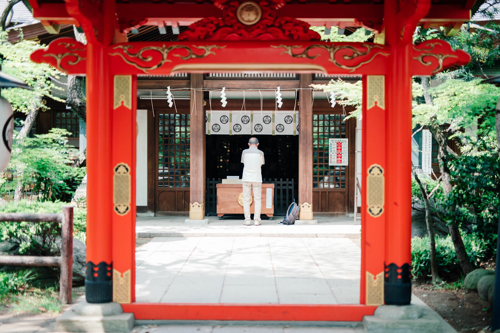 愛宕神社　参拝者　本殿