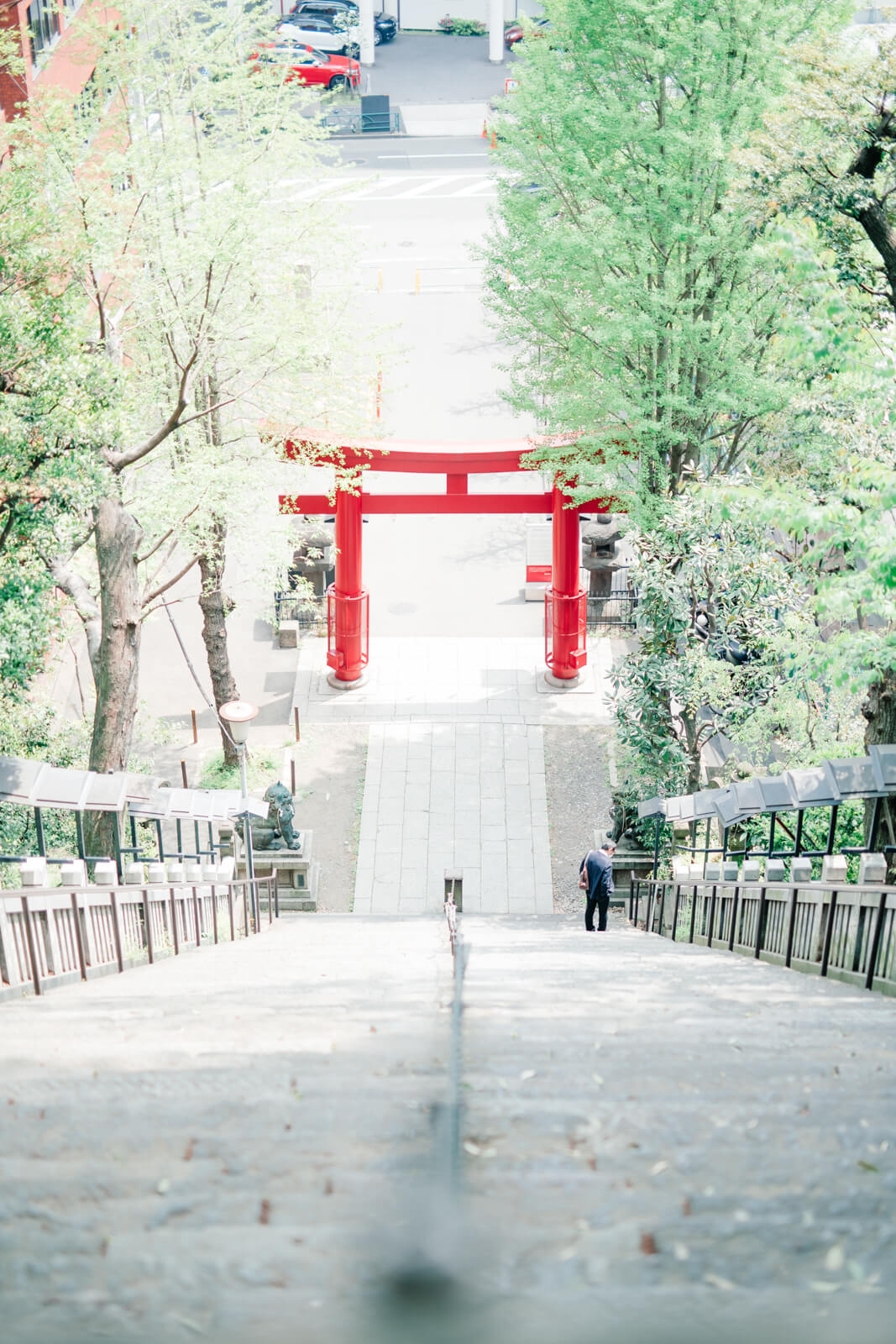 愛宕神社　鳥居　階段