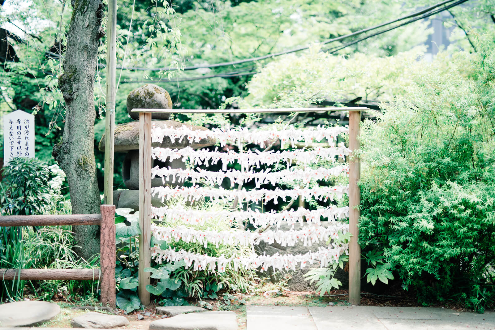 愛宕神社　おみくじ結び所