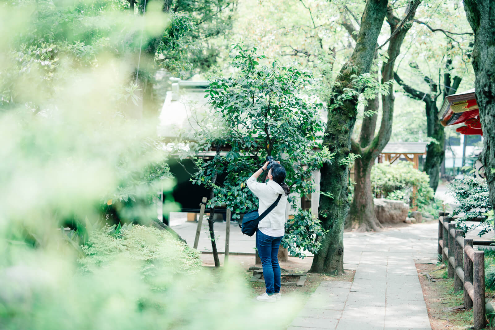 愛宕神社　フォトグラファー木島夕貴　撮影風景