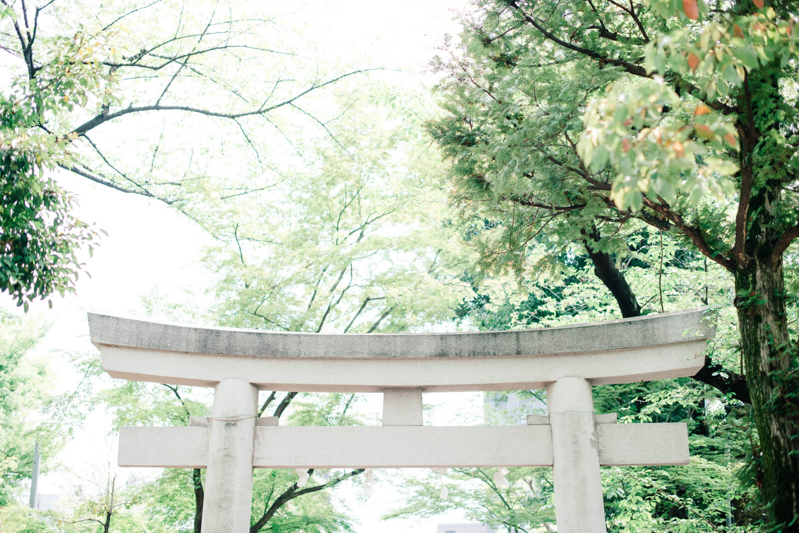愛宕神社　白い鳥居