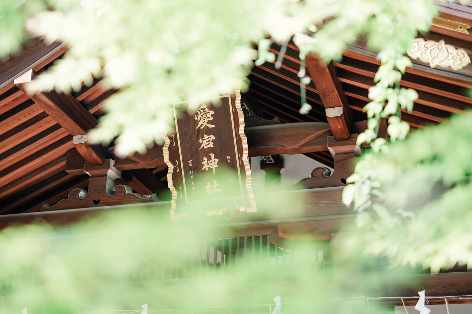愛宕神社　本殿