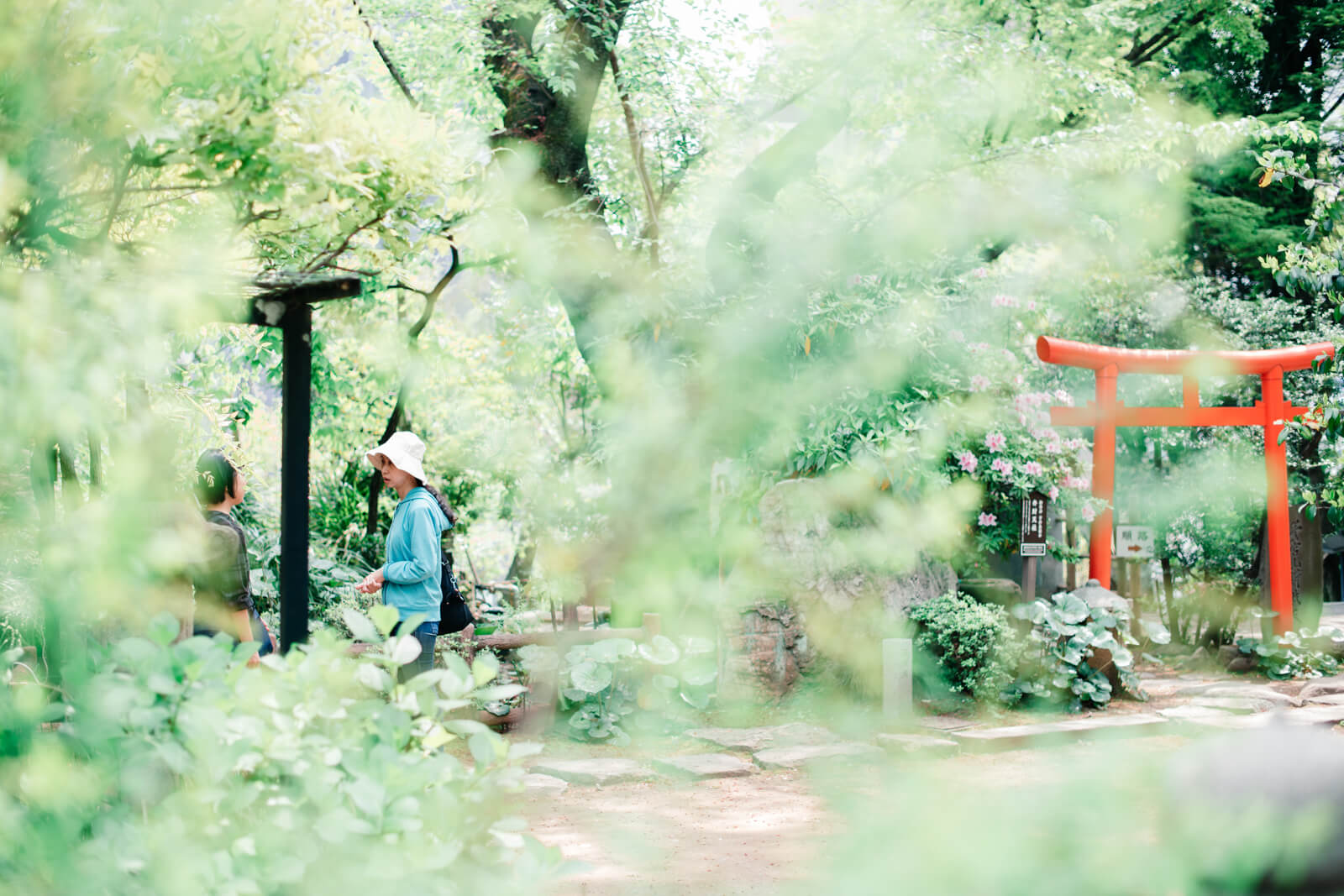 愛宕神社　日常風景