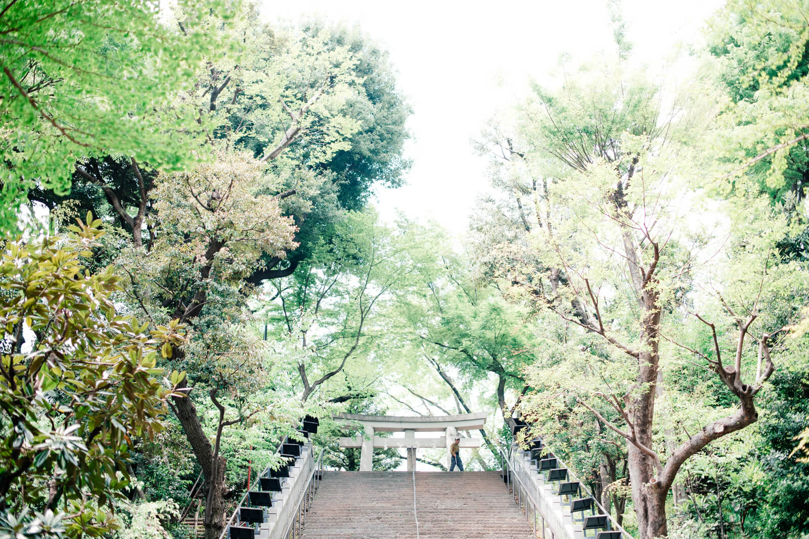 愛宕神社 鳥居　階段