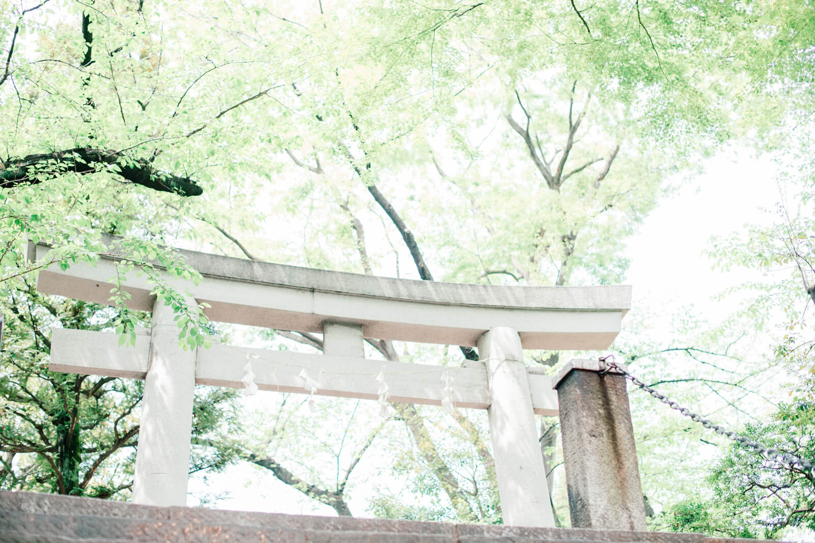愛宕神社　鳥居