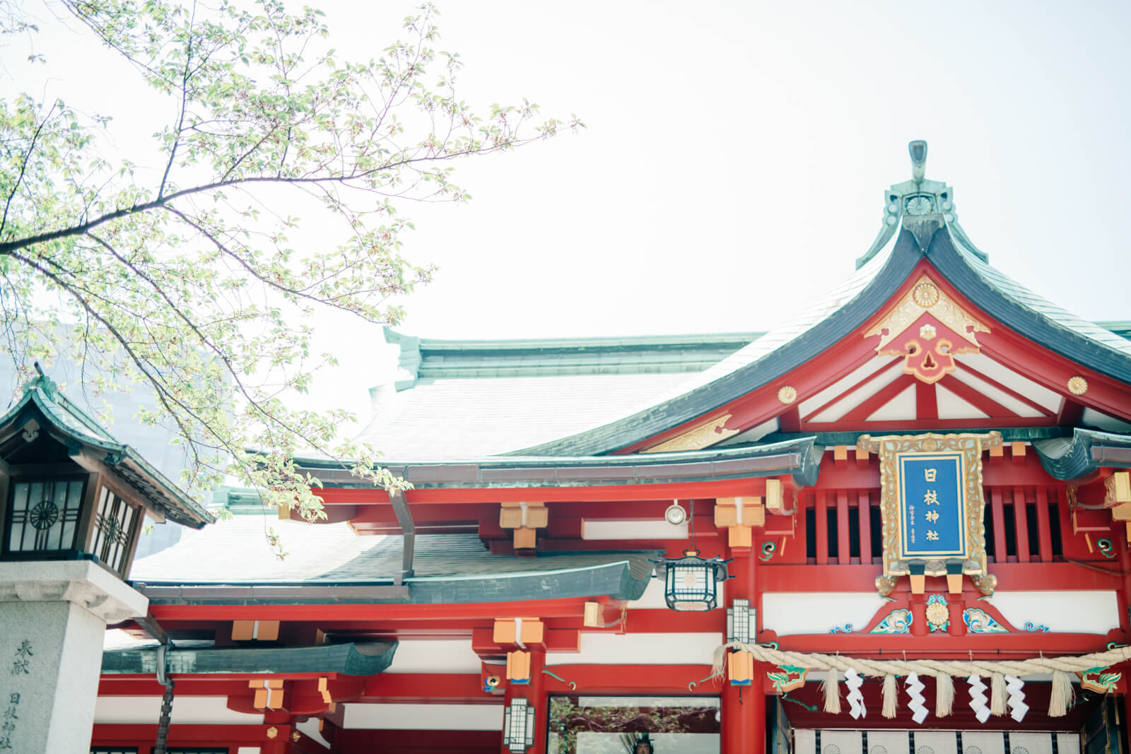 日枝神社 七五三 お宮参りの出張撮影
