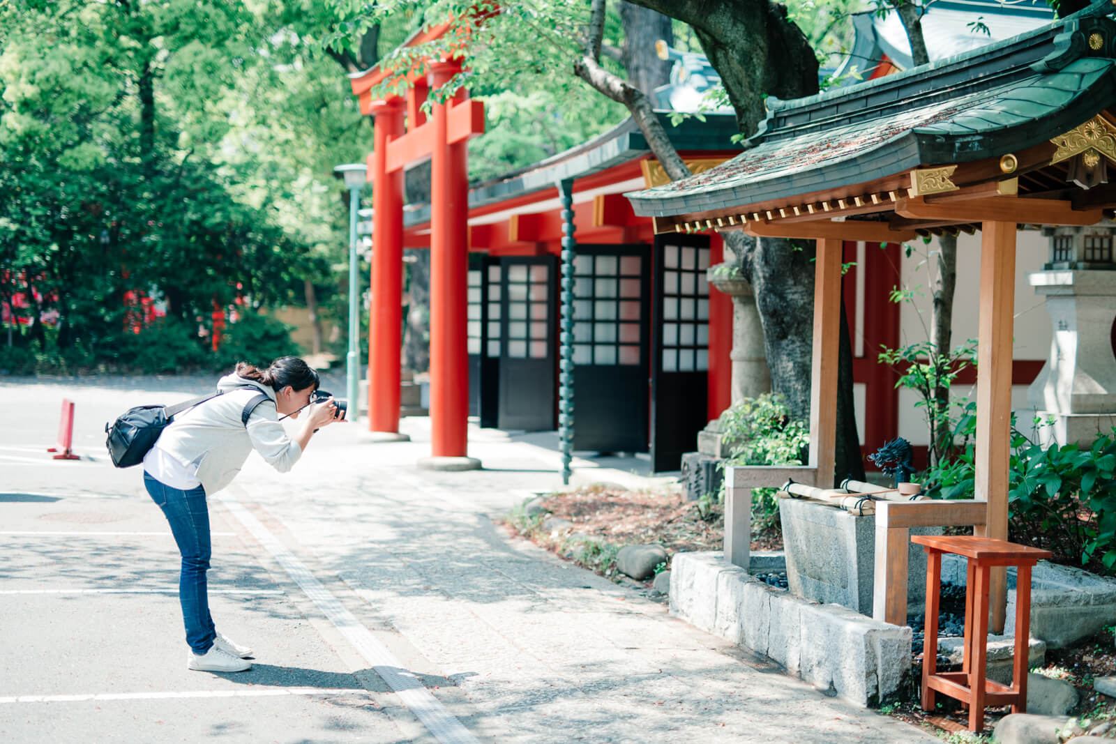日枝神社 フォトグラファー 木島夕貴　撮影風景