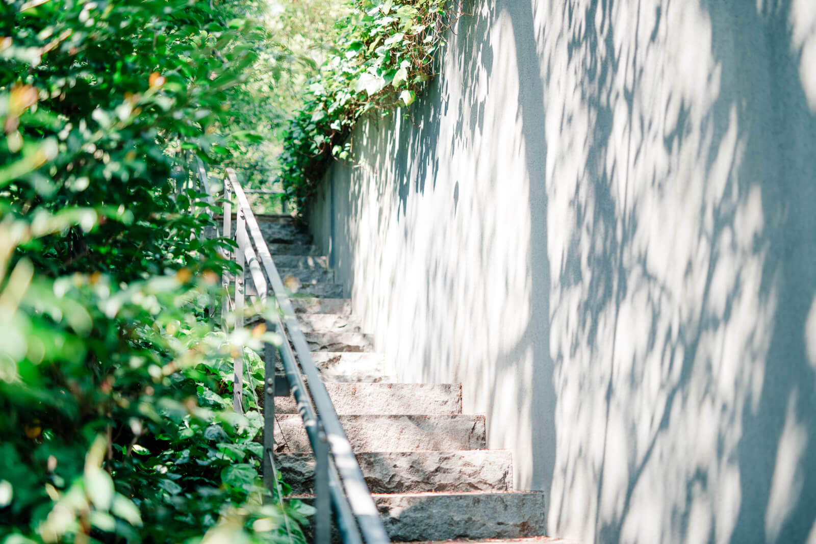 日枝神社 階段 綺麗