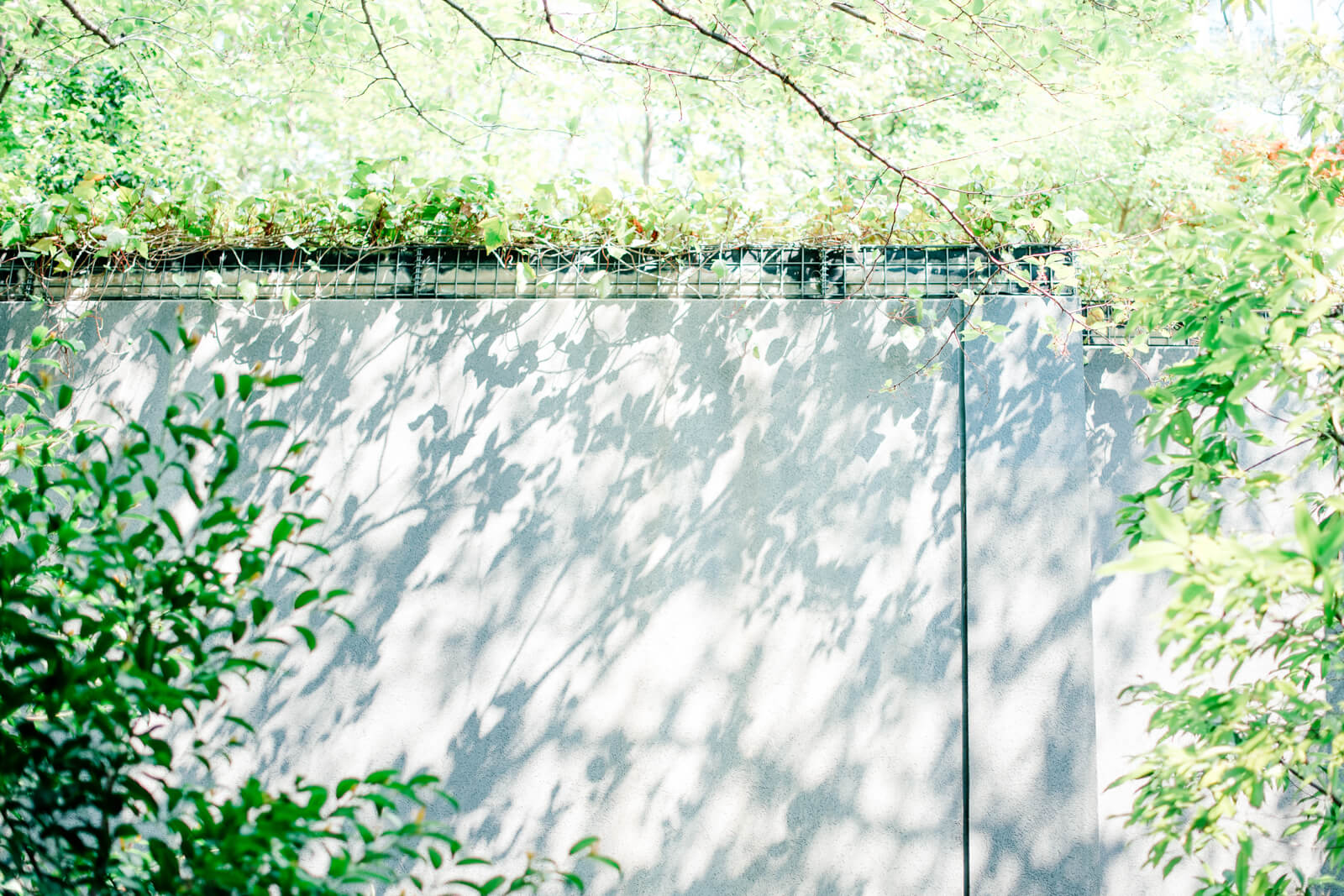 日枝神社 階段　綺麗