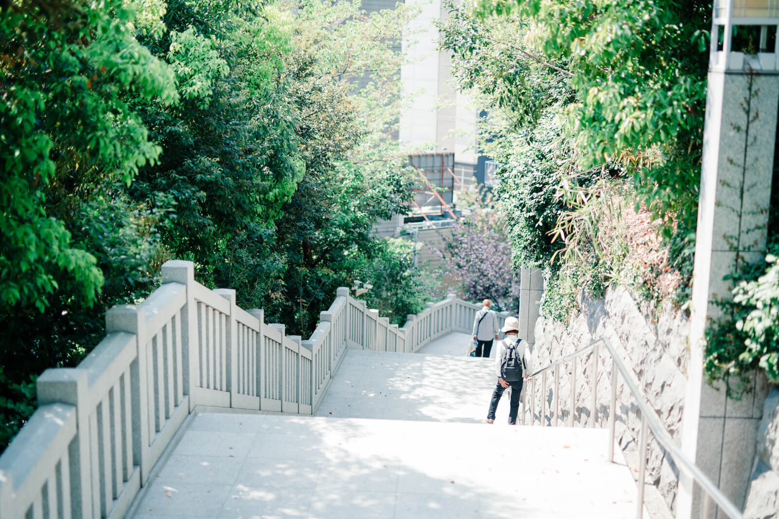 日枝神社　階段　入り口　日常