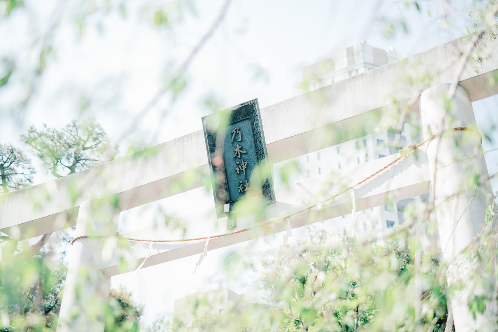 乃木神社　鳥居　七五三とお宮参りの出張撮影