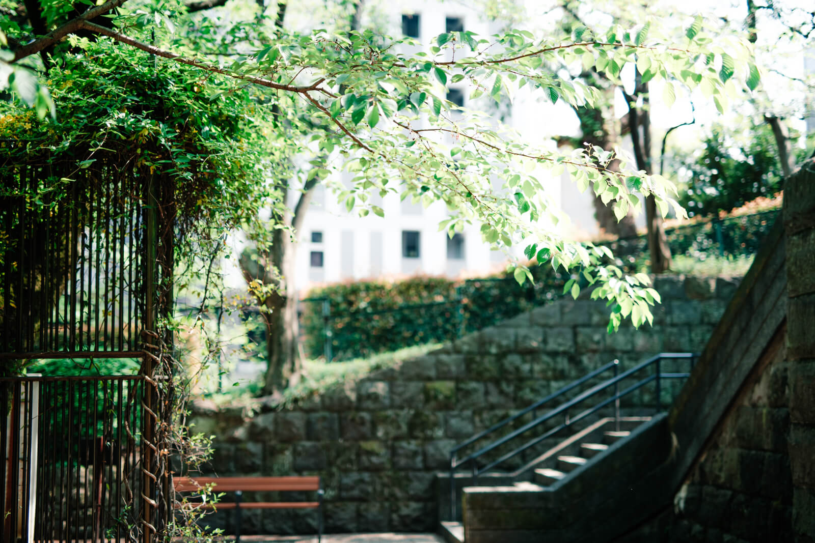乃木神社　乃木公園