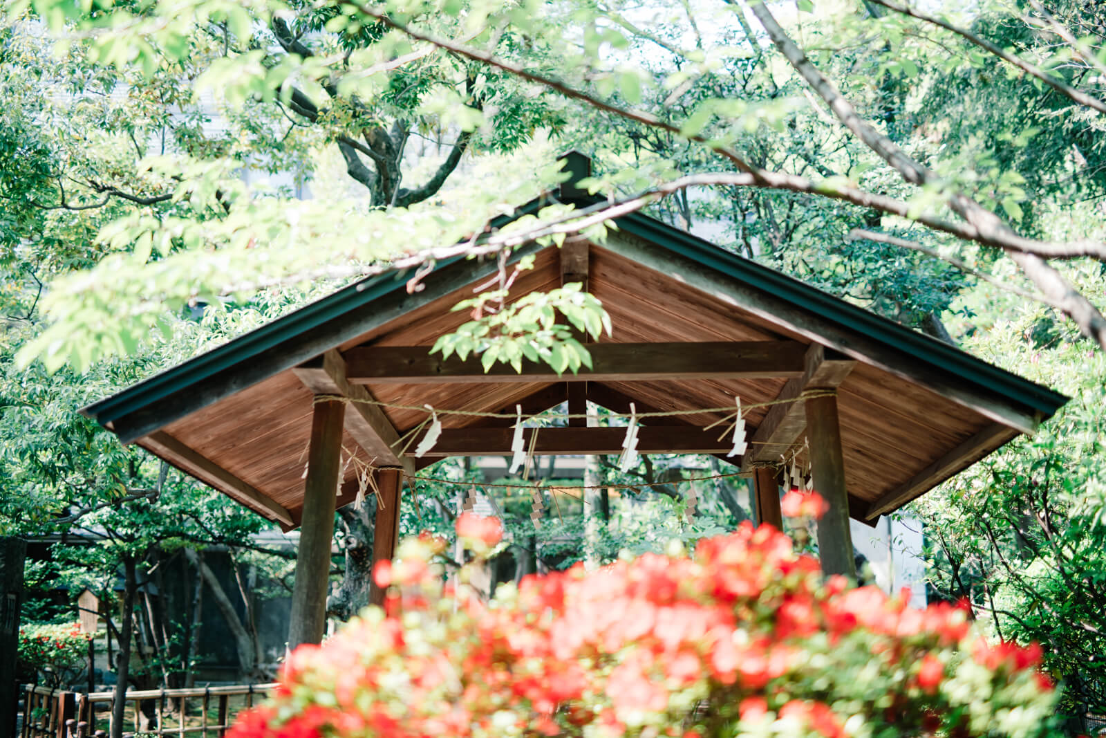 乃木神社　手水舎