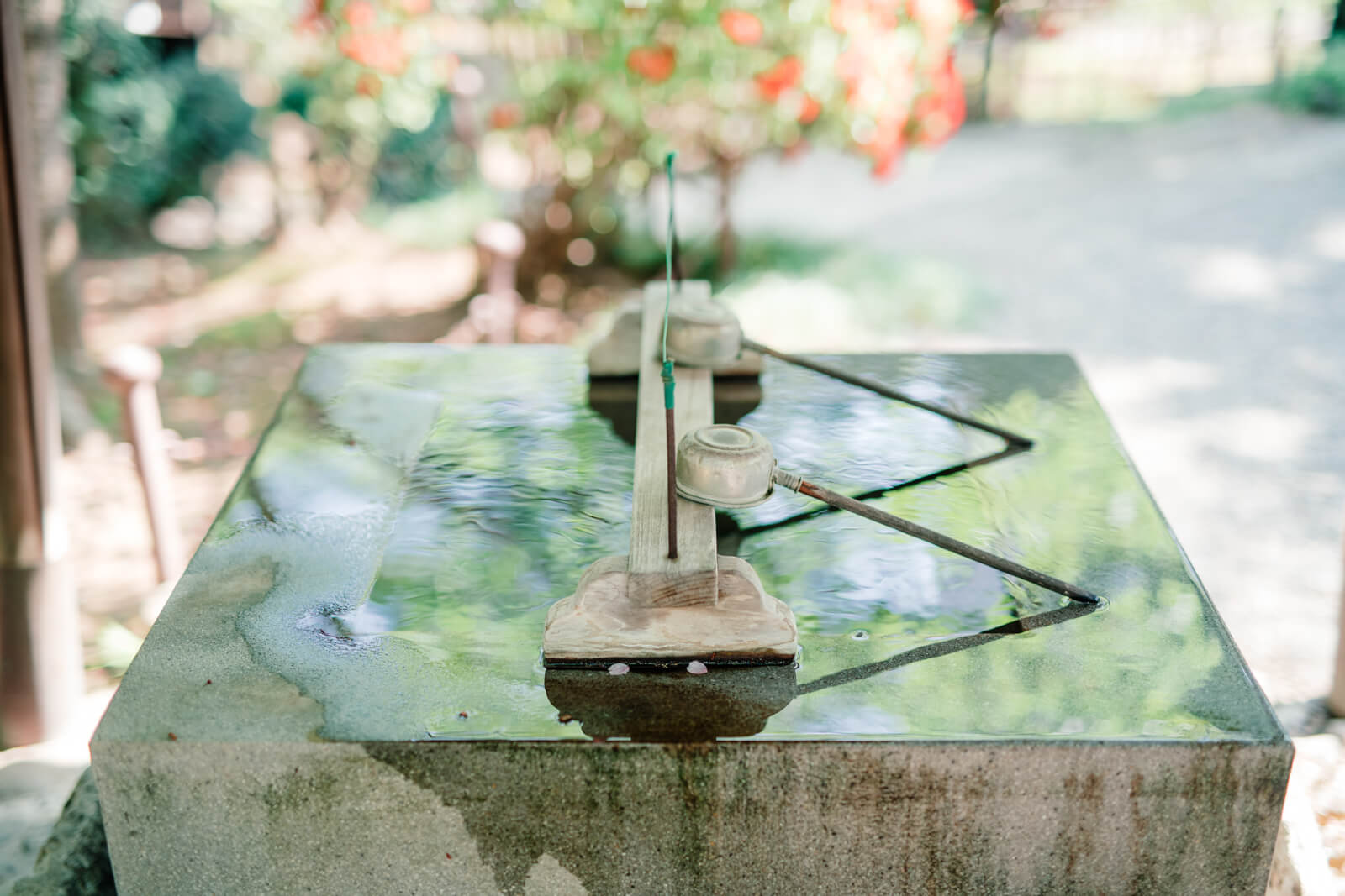 乃木神社　手水舎