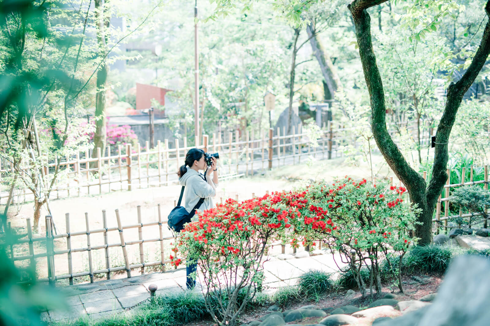 乃木神社　フォトグラファー木島夕貴　撮影風景