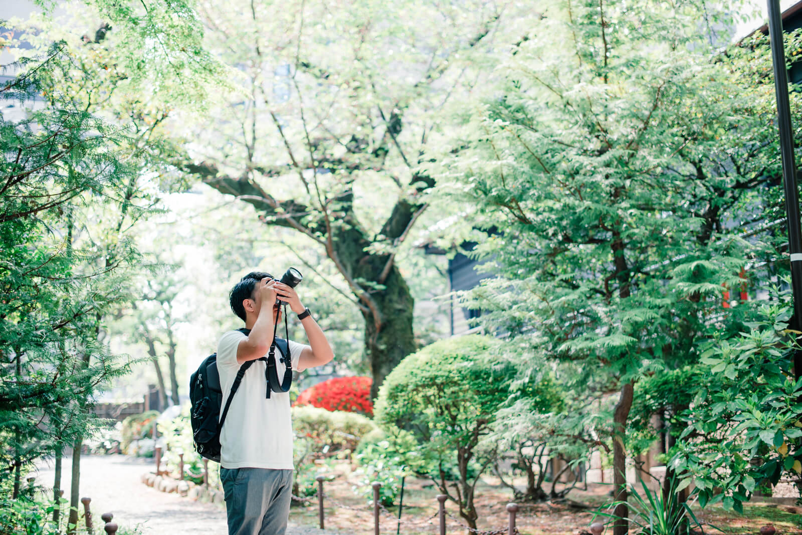 乃木神社　フォトグラファー江守勇人　撮影風景