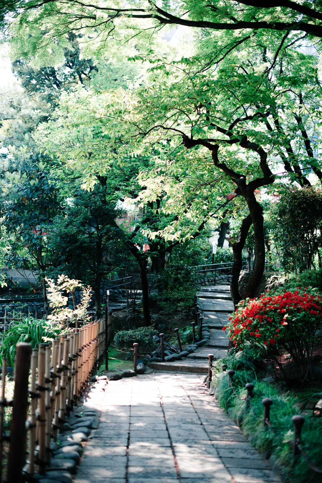 乃木神社　乃木公園