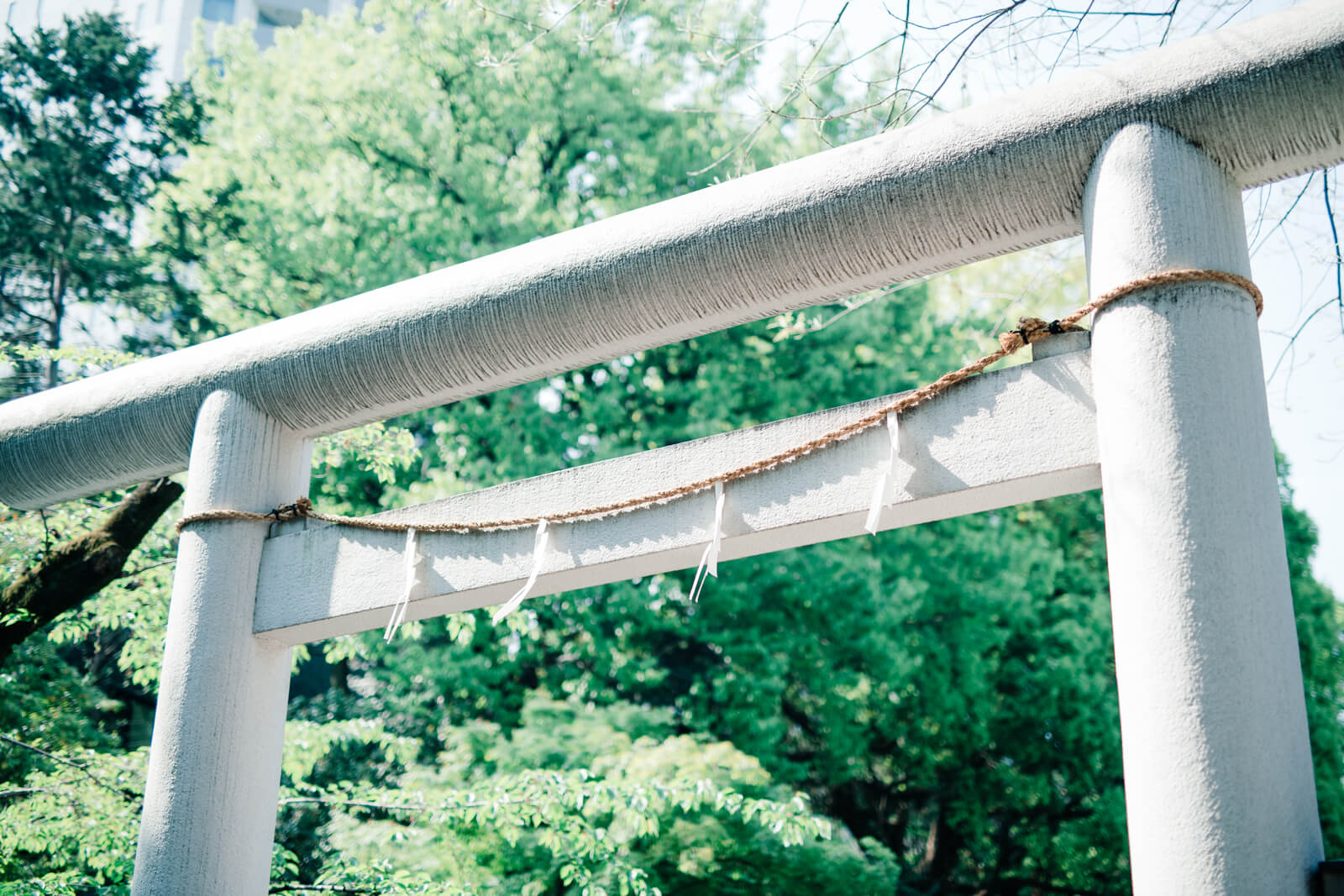 乃木神社　鳥居