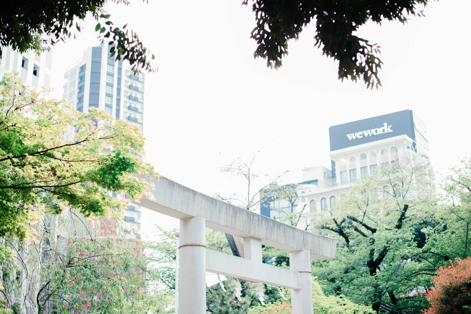 乃木神社　鳥居入り口