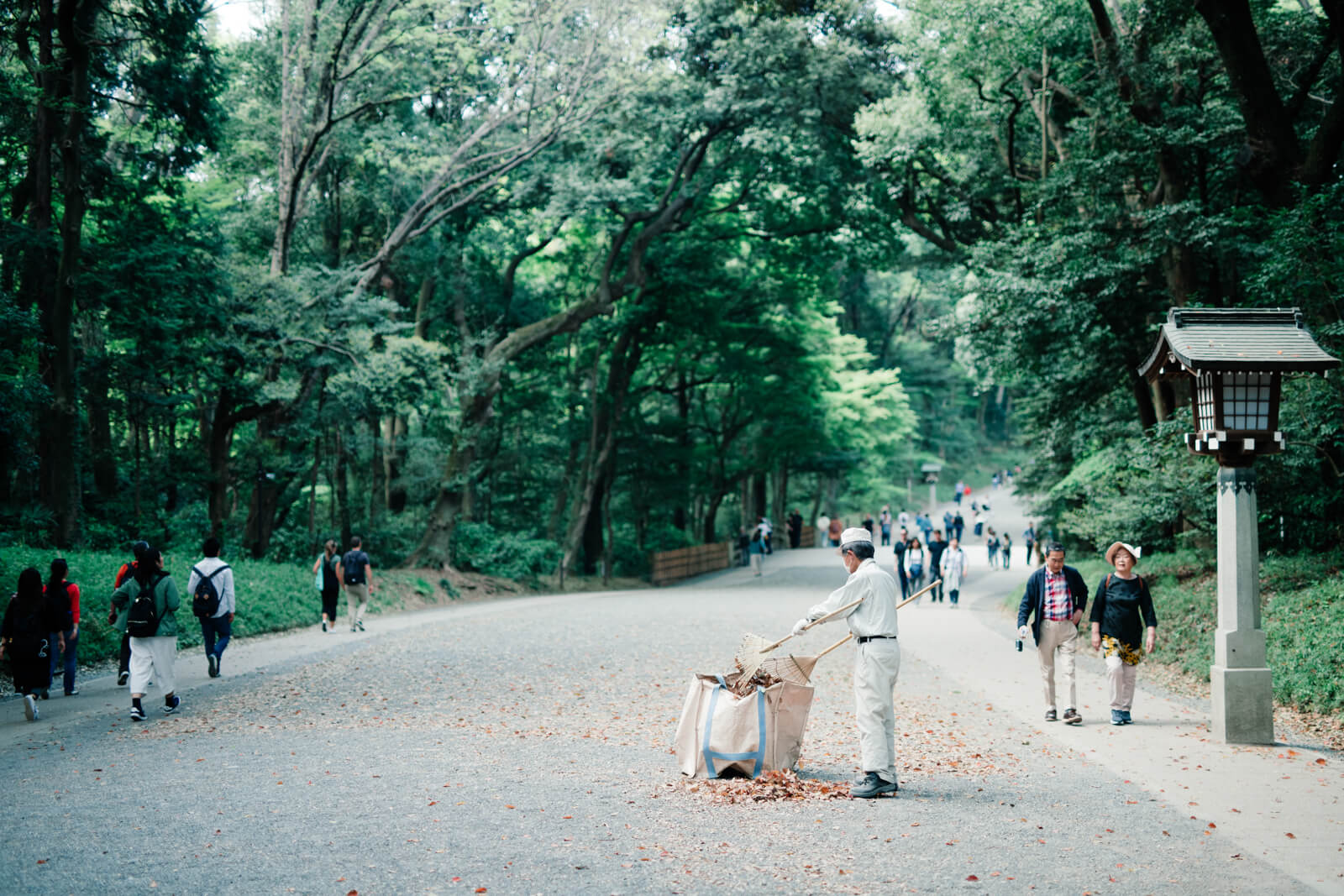 明治神宮　参道を掃除している係員さん