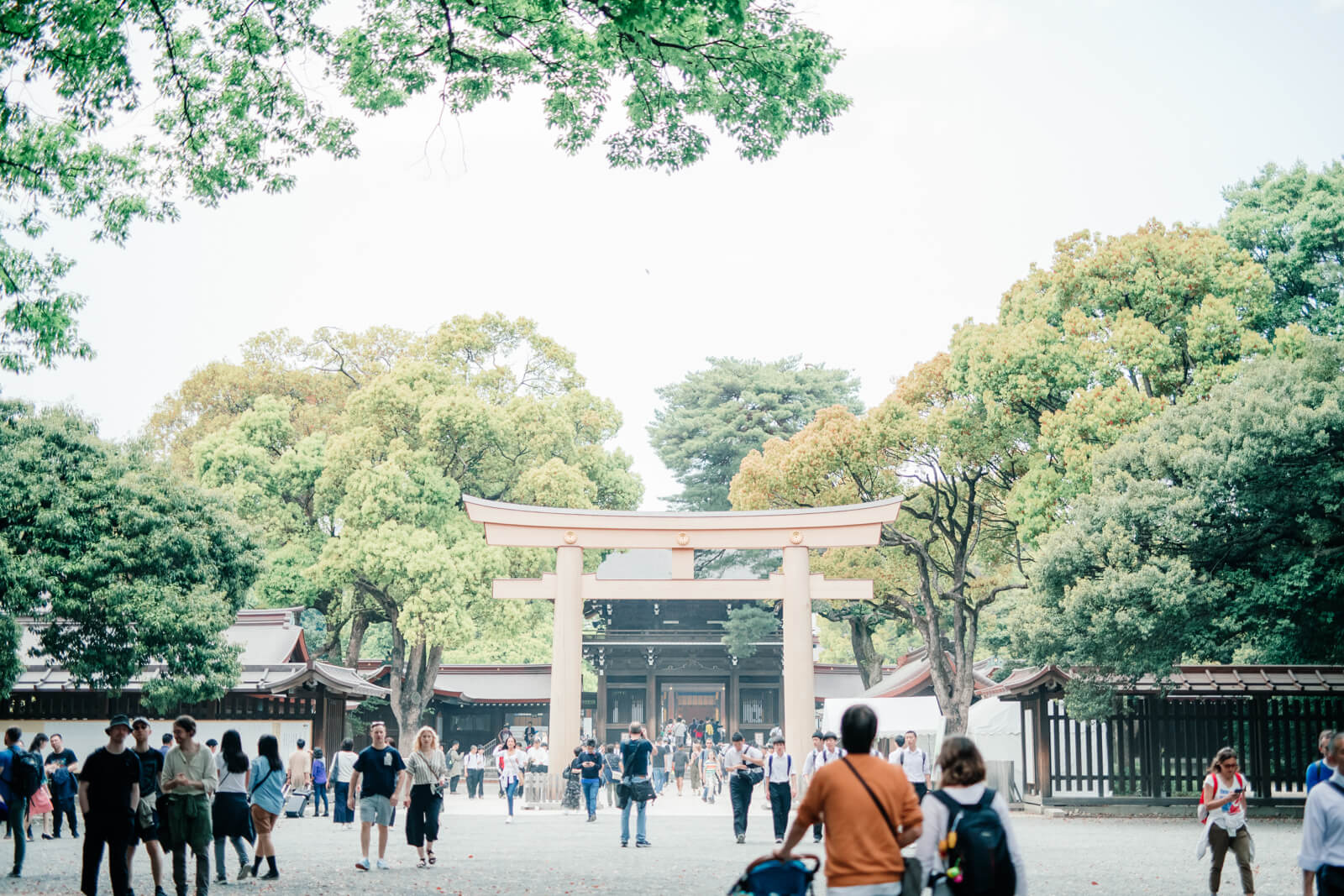 明治神宮　第二の鳥居