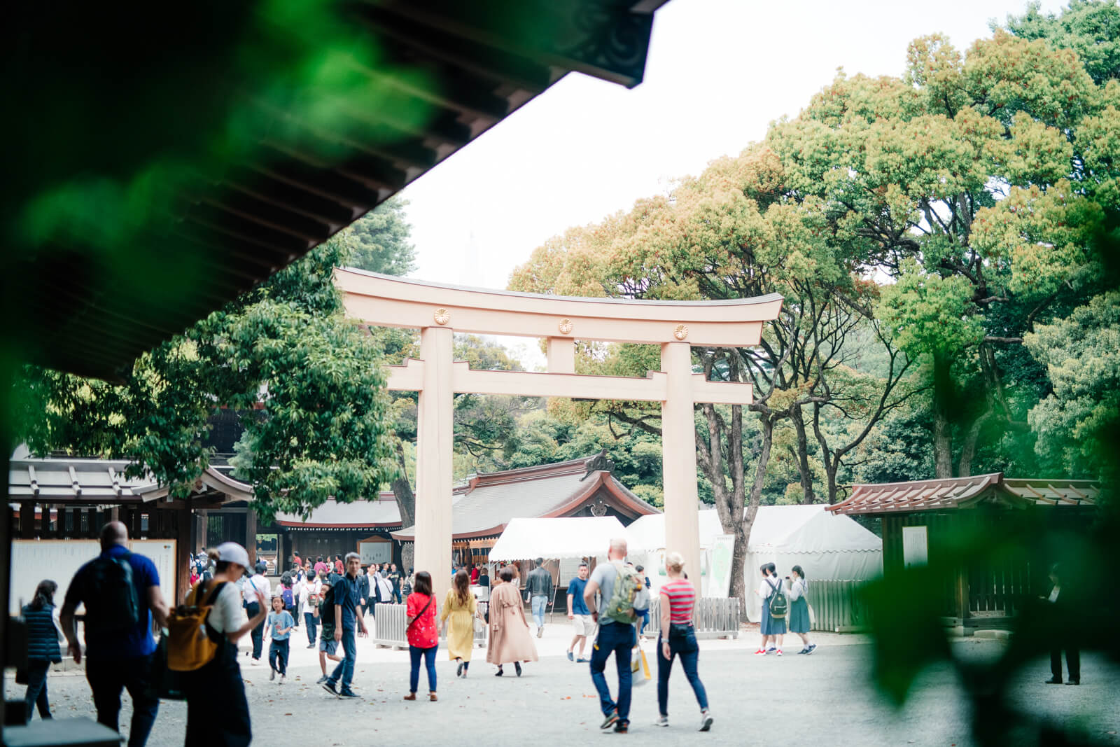 明治神宮　参道　第二の鳥居