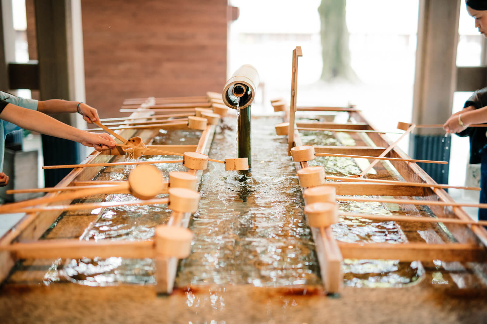 明治神宮　手水舎