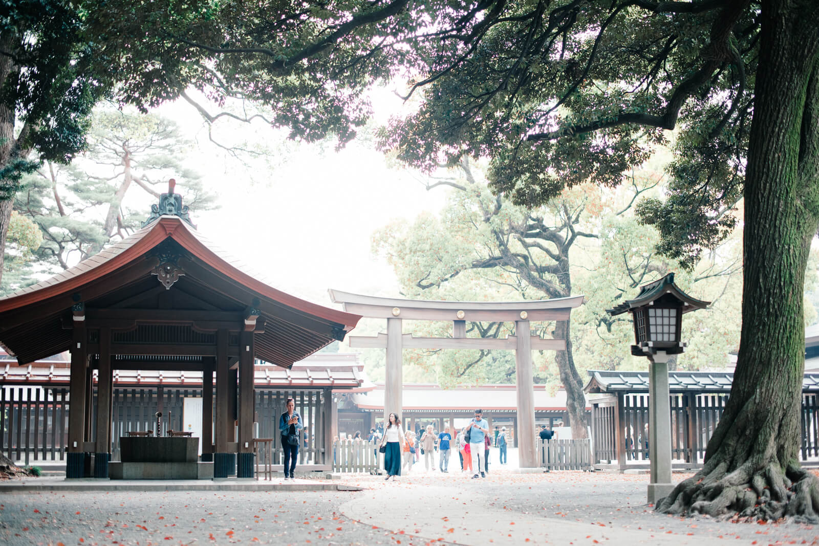 明治神宮　第二の鳥居　手水舎　参道