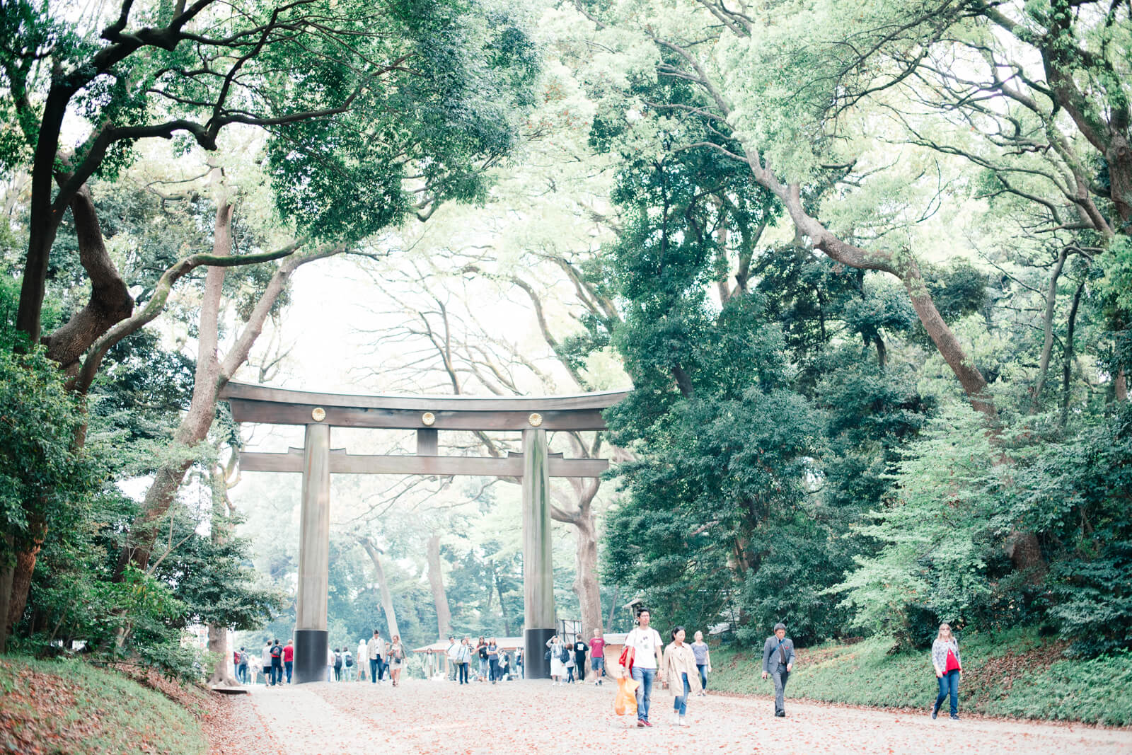 明治神宮の参道　第一の鳥居