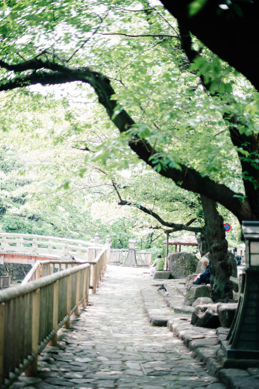 王子神社 出張撮影