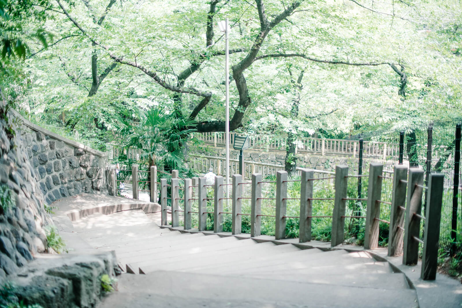 王子神社 階段 緑道