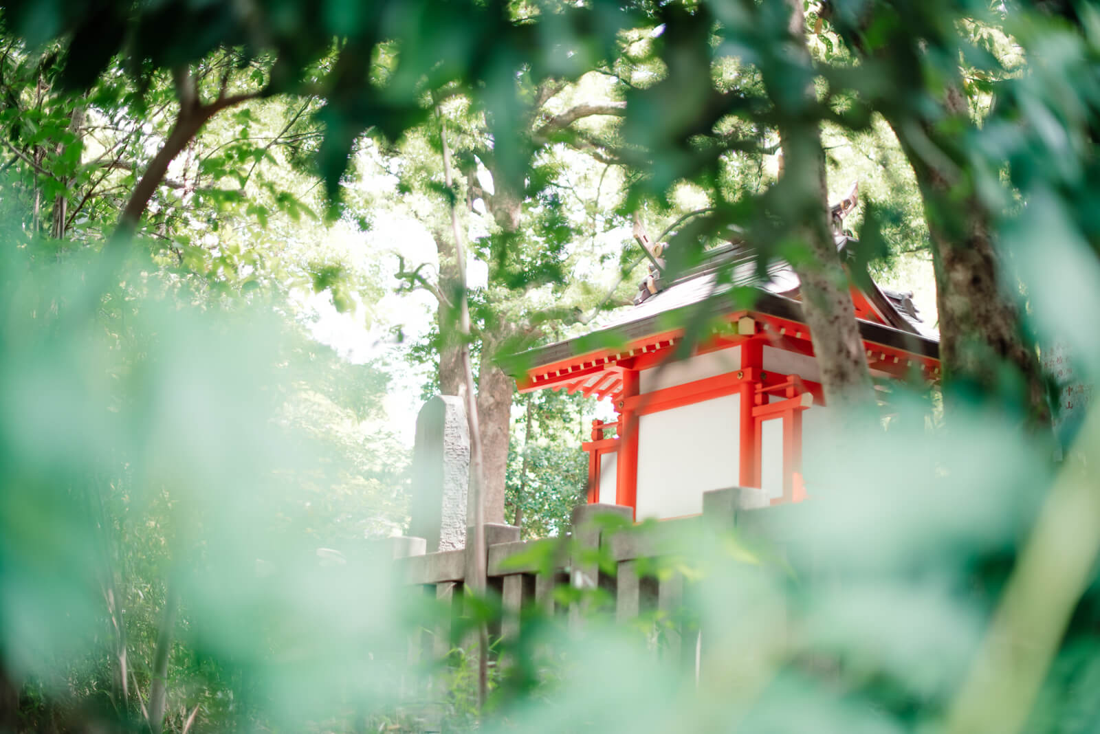 王子神社 七五三 お宮参り 出張撮影