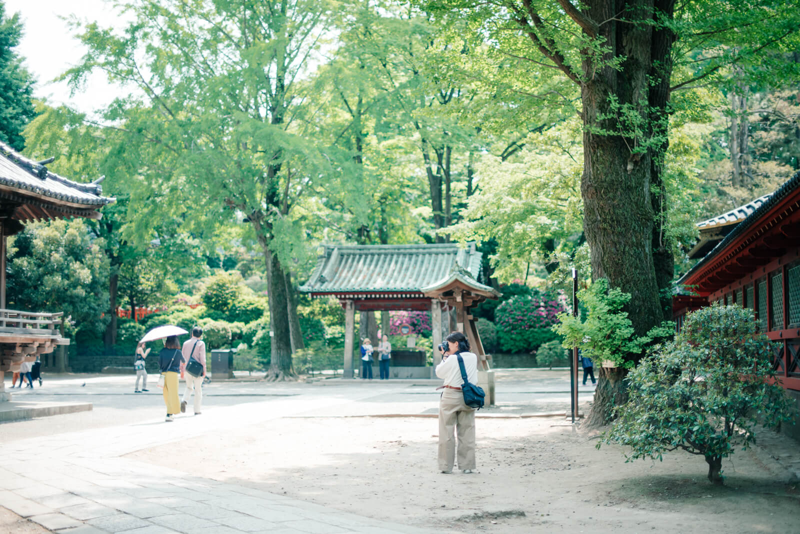 根津神社　フォトグラファー木島