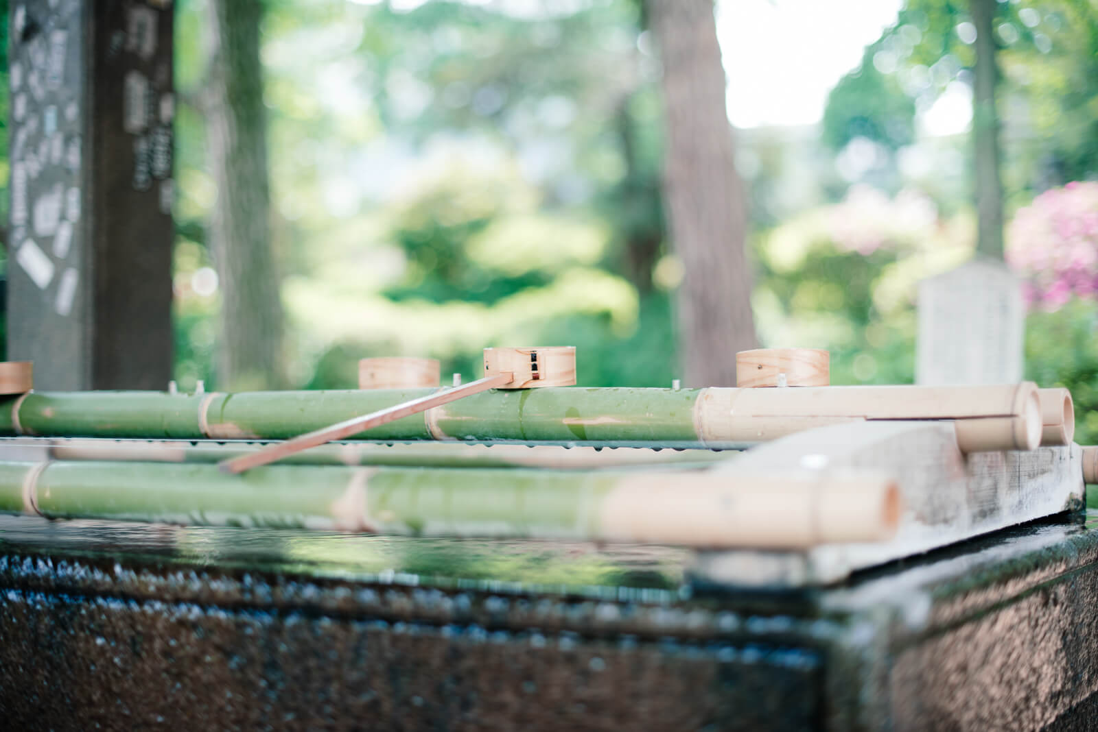根津神社　手水舎