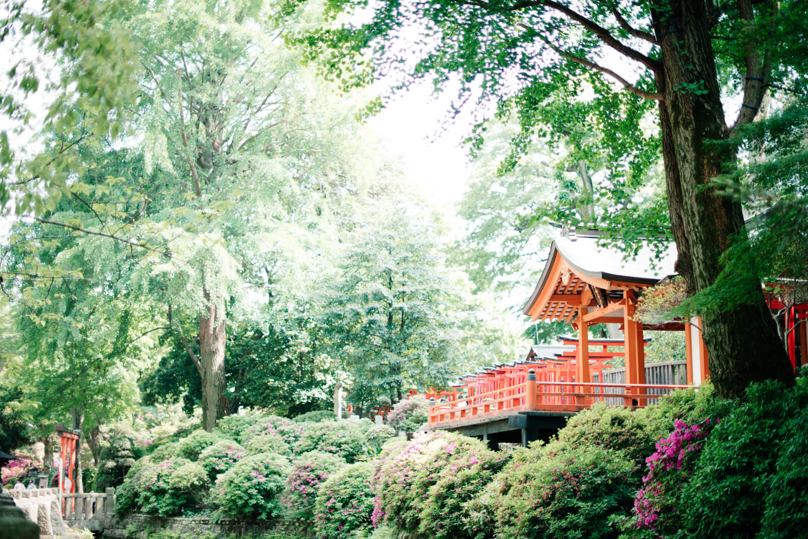 根津神社 稲荷神社