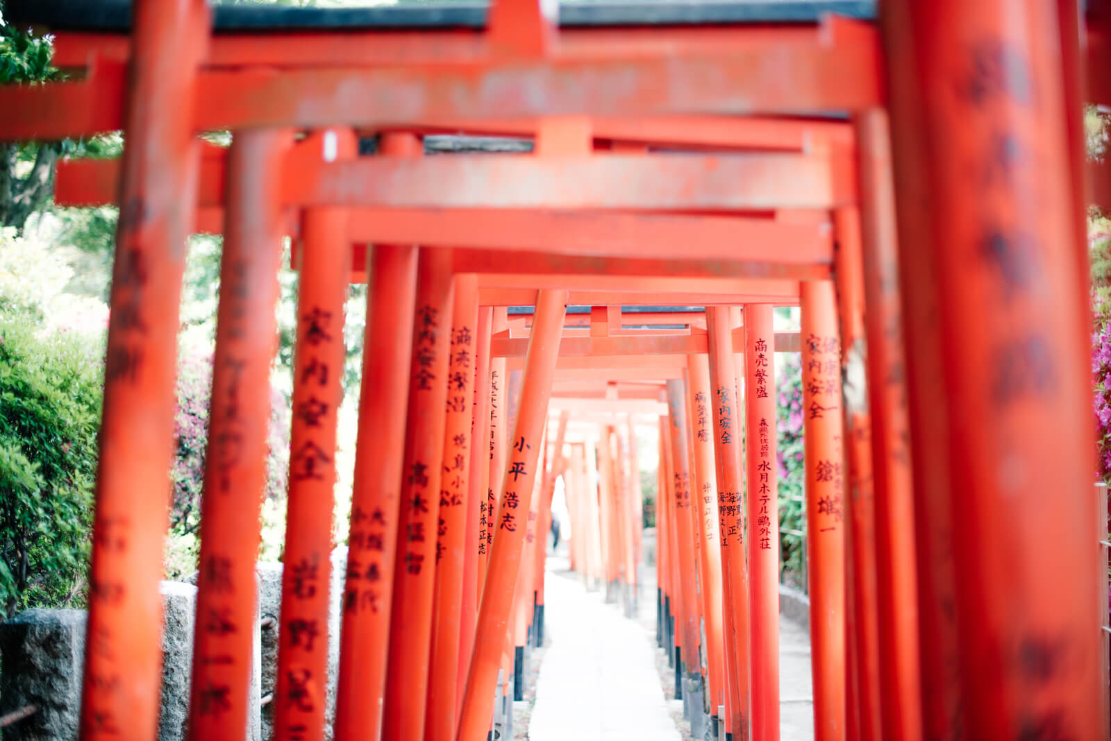 根津神社 千本鳥居