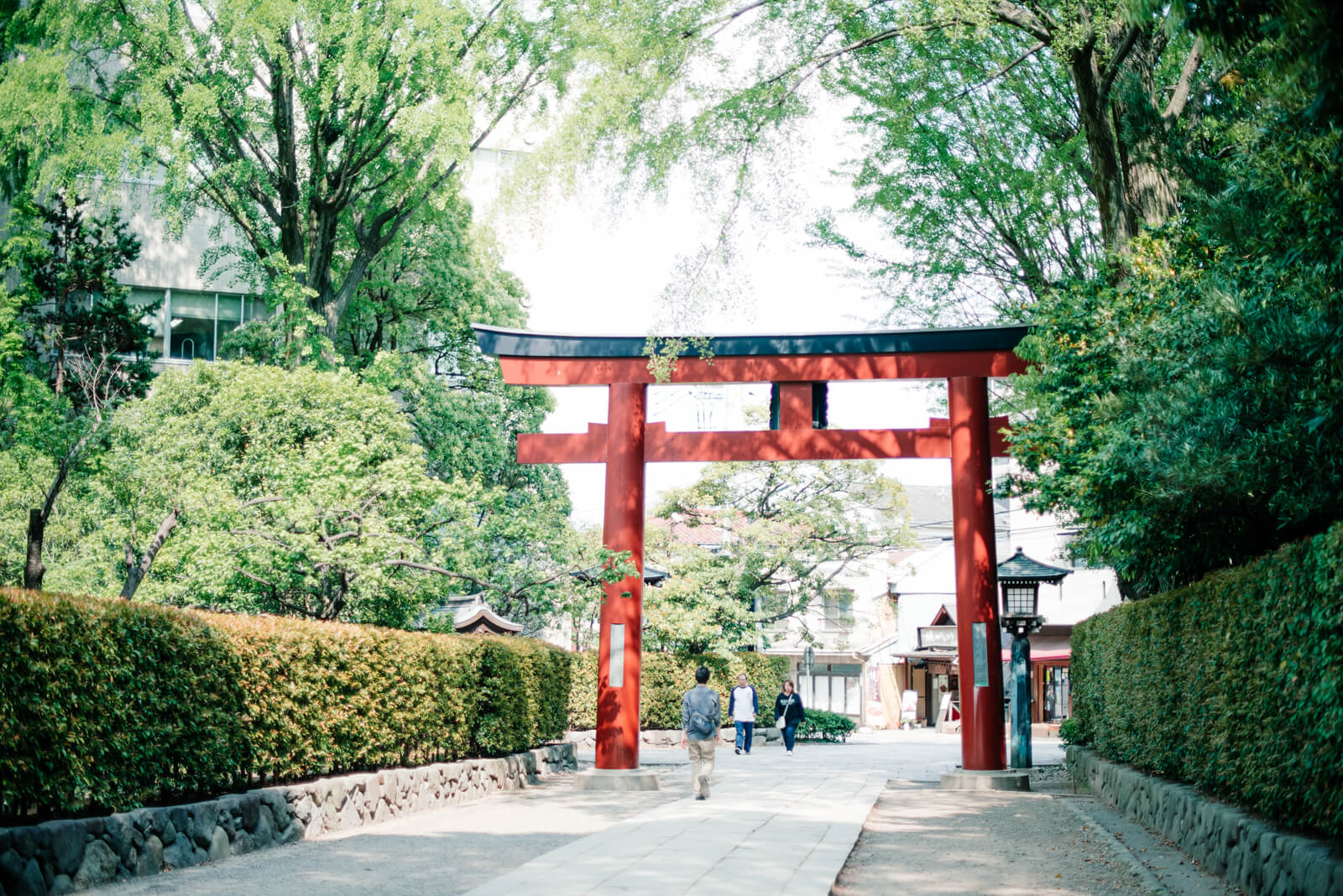 根津神社　七五三　お宮参り　出張撮影