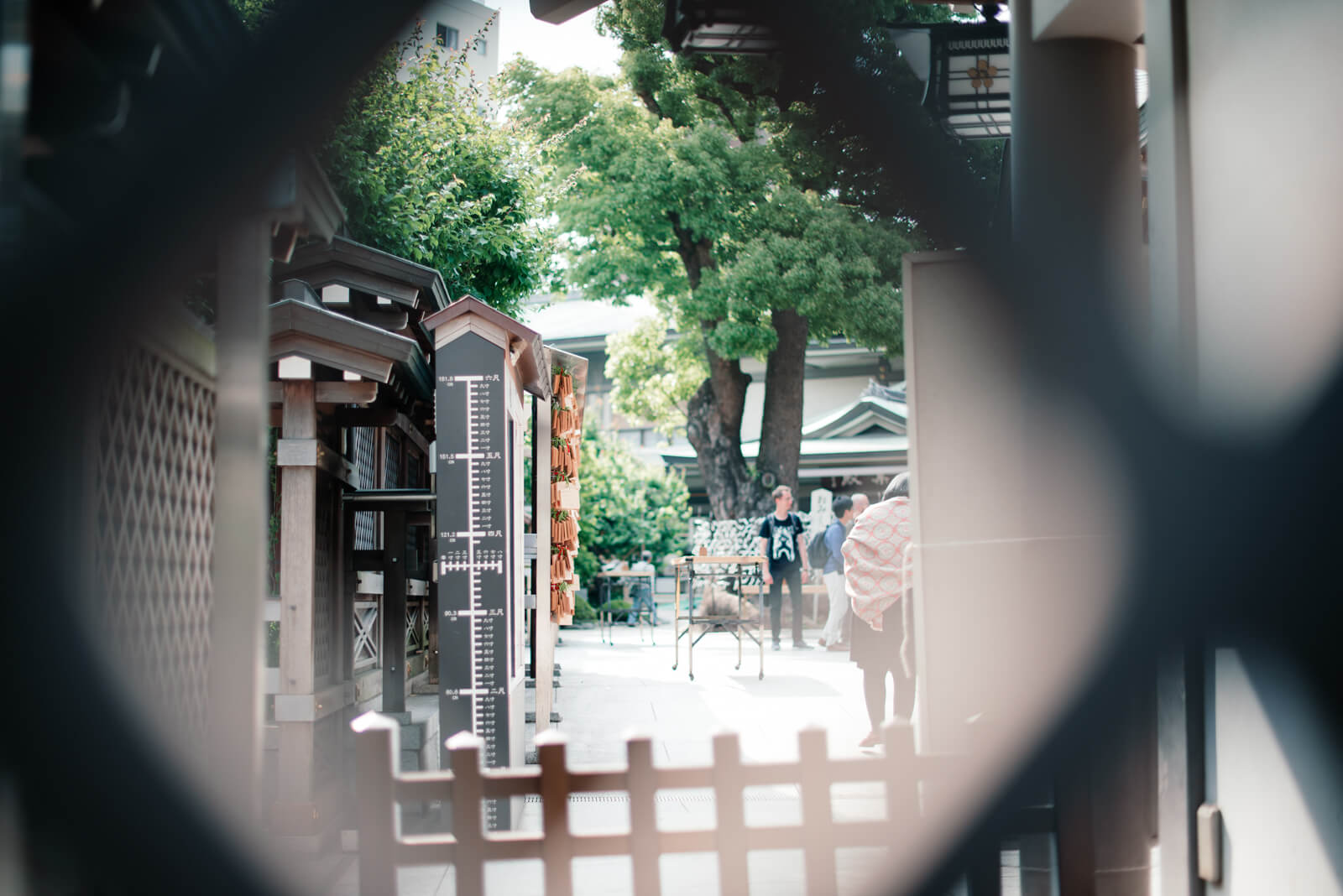 湯島天満宮 湯島天神 湯島神社 学問