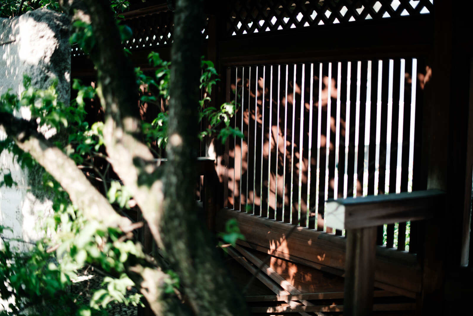 湯島天満宮 七五三 お宮参り 出張撮影 湯島天神