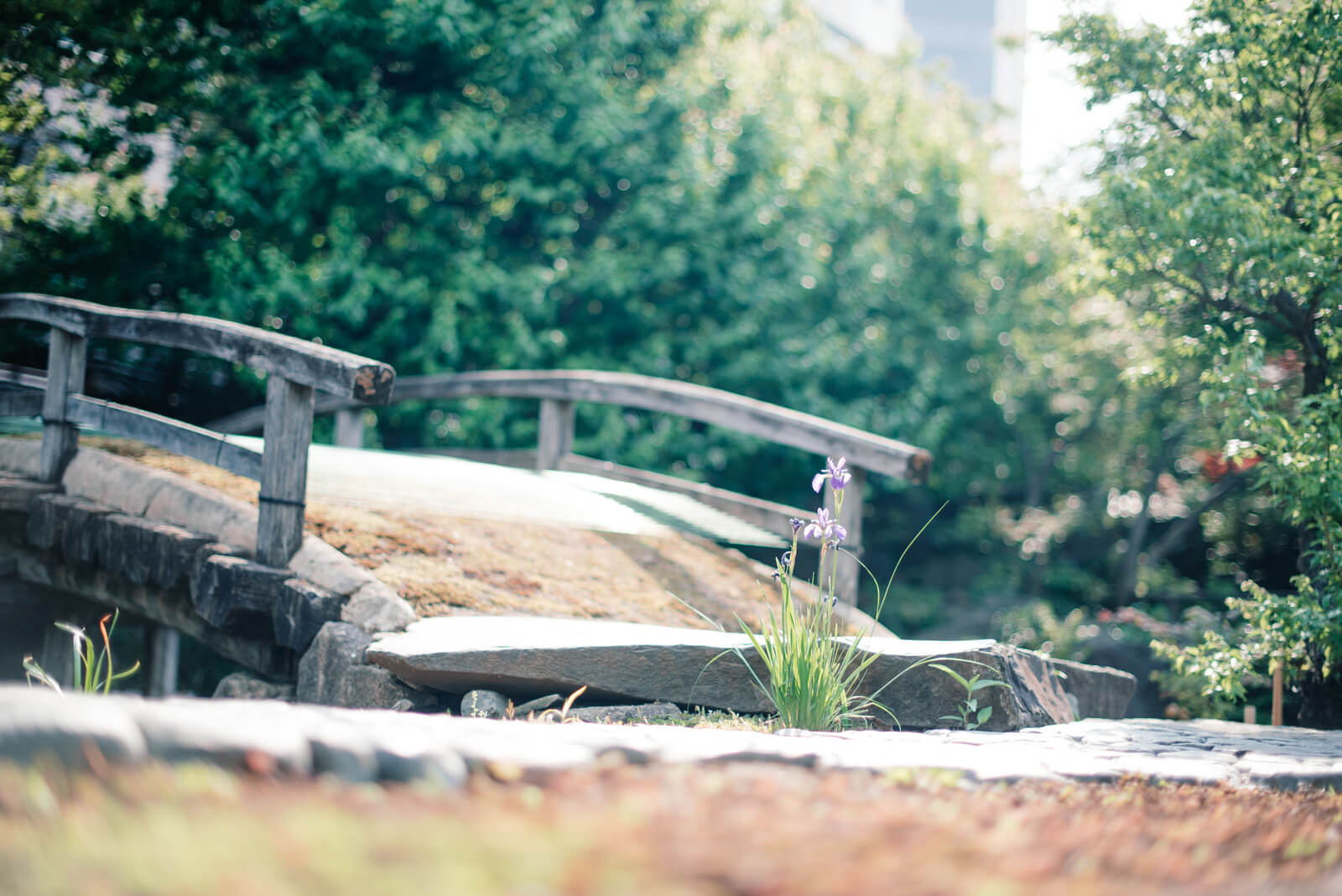 湯島天満宮 湯島天神 湯島神社 学問 庭園