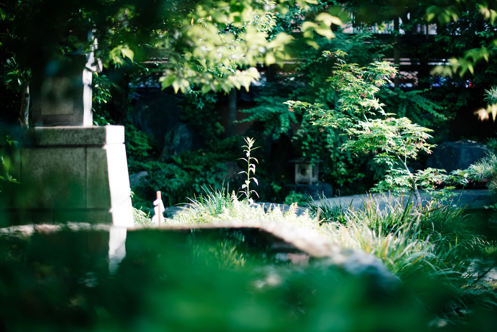 湯島天満宮 湯島天神 湯島神社 学問