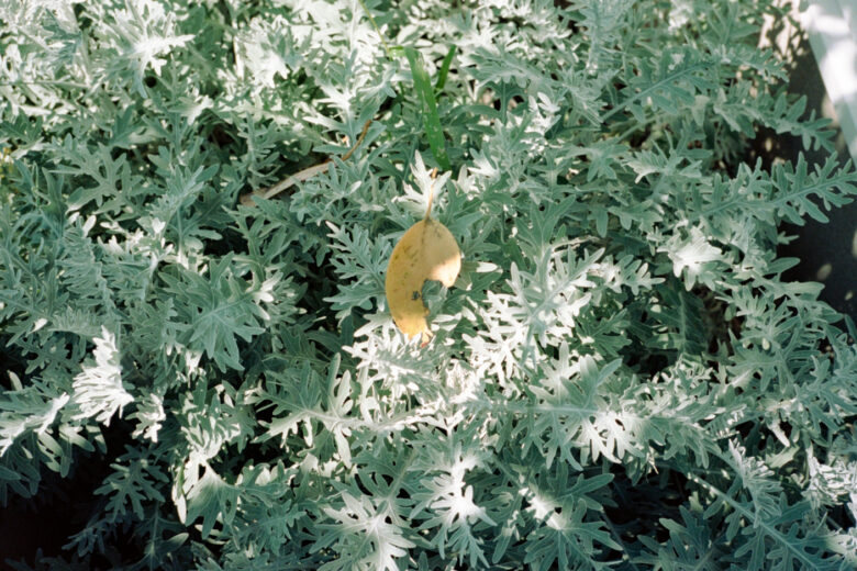 「今」に向き合い得たこと