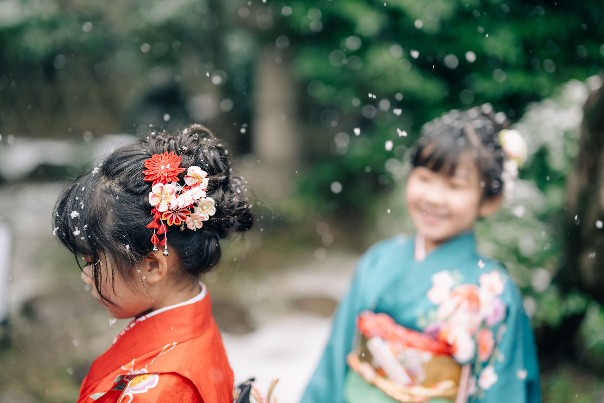 花びら雪のお祝い [七五三]
